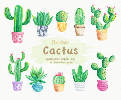 Watercolor Cactus Clipart Cacti plant pot invitation wedding