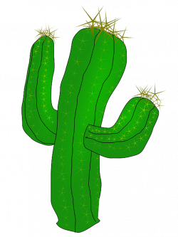 Free Images Best Clipart Cactus #24258 - Free Icons and PNG Backgrounds