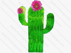 Cactus Clipart | png images with transparent background, high resolution  300 dpi | by Quality Time Designs