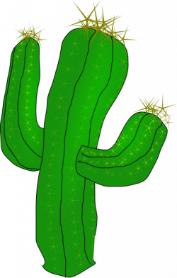 Colored Cactus Clipart