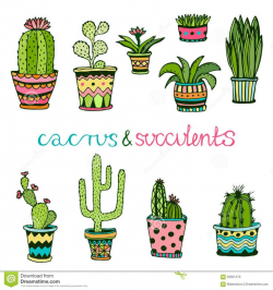 81 best CACTUS images on Pinterest | Succulents, Watercolor painting ...