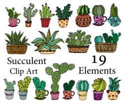Succulent Clipart: 
