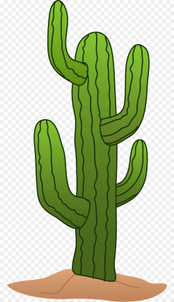 Cactaceae Saguaro Desert Clip art - cactus png download - 830*1559 ...