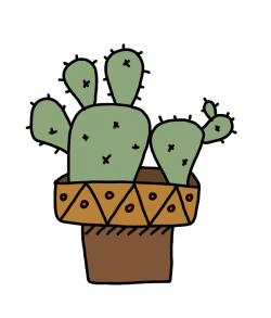 how to doodle cactus - IQ Doodle