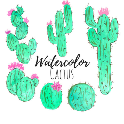 Watercolor Cactus Clip art - Floral Clip Art - Watercolor Art ...