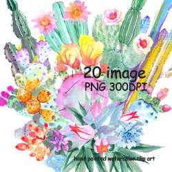 SALE50% Watercolor Cactus clipart,Flowers cactus,Tropical Clipart ...