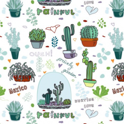 Cactus, Mexico fabric - innaogando - Spoonflower