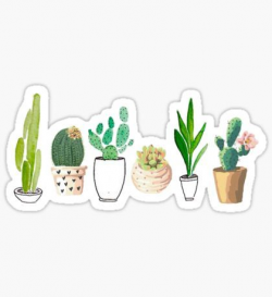 Hipster: Stickers | Cacti, Doddles and Watercolor