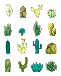 Desenho do Dia #174 - Cactus: folha de cola - Soraia Casal | doodles ...
