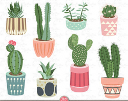 Cactus pots | Etsy
