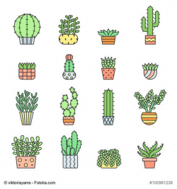 Succulents and cacti outline multicolored vector icons set. Modern ...