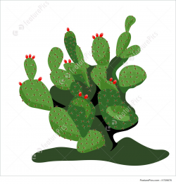 Prickly Pear Cactus Drawing at GetDrawings.com | Free for personal ...