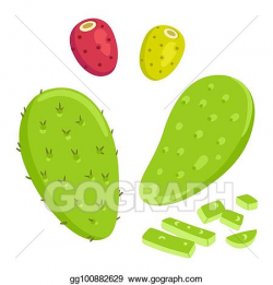 Vector Art - Nopal cactus with prickly pears. Clipart Drawing ...