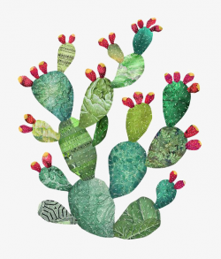 Watercolor Cactus, Cactus Illustrator, Cactus Material, Desert ...