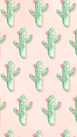 13 best Cacti images on Pinterest | Succulents, Backgrounds and ...