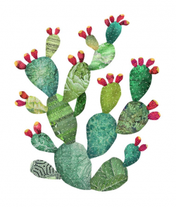 Prickly pear | Armadillo | Pinterest | Pear, Cacti and Illustrations
