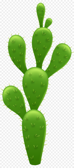 Cactaceae Prickly pear Clip art - cactus png download - 3558*8000 ...