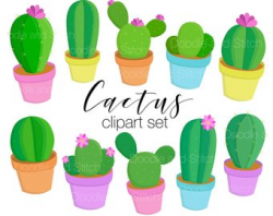 Cactus illustration | Etsy