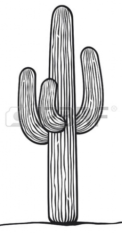 Image result for saguaro cactus sketch | Drawing | Pinterest ...