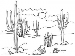 How to Draw Desert Cacti in 4 Steps | Cacti, Deserts and Scene