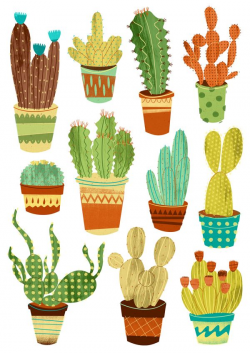 1279 best Illustration: Cactus images on Pinterest | Succulents ...