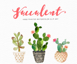 Watercolor succulent clip art collection /Digital clipart