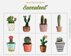 FREEBIES | Watercolor Succulents cactus clip art collection | 8 FREE ...