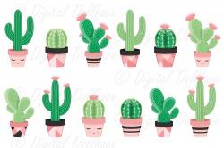 Potted Cactus / Succulent Clip Art Imag | Design Bundles