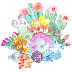SALE50% Watercolor Cactus clipart,Flowers cactus,Tropical Clipart ...
