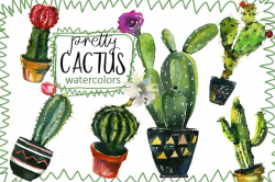 Pretty Cactus Watercolor Clipart Set ~ Illustrations ~ Creative Market