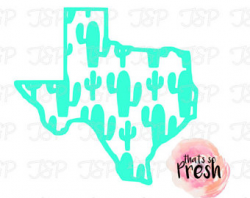 Texas cactus decal | Etsy