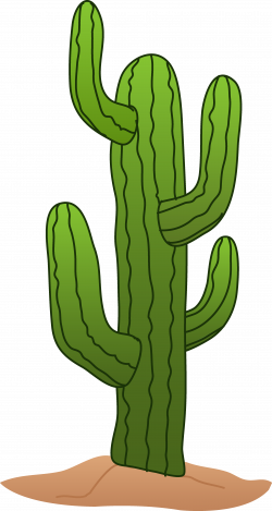 Cactus png clipart #39162 - Free Icons and PNG Backgrounds
