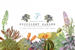 Vintage Succulents and Cactus Clipart By Verdigris Studios ...
