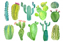Watercolor cactus and succulent clipart set by Nadya Krupina ...