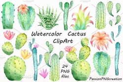 Watercolor Cactus Clipart ~ Illustrations ~ Creative Market
