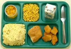 lunches on trays are representative in the 1960s (although the food ...
