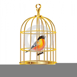 Bird Cage Clipart | Free Images at Clker.com - vector clip ...