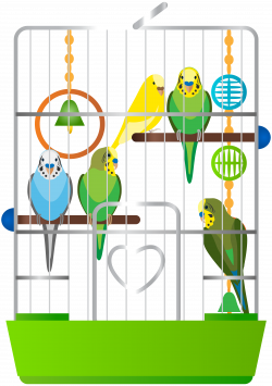 Cage with Parrots PNG Clip Art - Best WEB Clipart