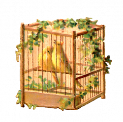 Antique Images: Free Bird Clip Art: Two Yellow Birds in Bird Cage ...