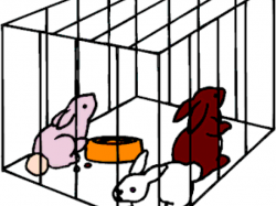 Cage Clipart - Free Clipart on Dumielauxepices.net