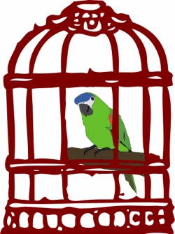 Parrot In A Bird Cage Clip Art at Clker.com - vector clip art online ...
