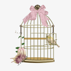 A Bird Cage, Cage, Free, Butterfly PNG Image and Clipart for Free ...