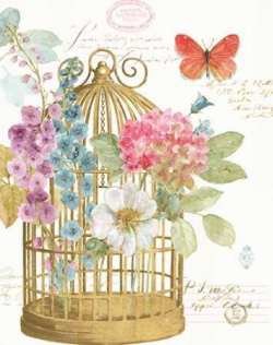159 best CAGES images on Pinterest | Vintage images, Bird boxes and ...