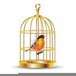 Bird Cages Clipart | Free Images at Clker.com - vector clip art ...