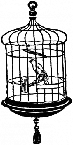 FREE ViNTaGE DiGiTaL STaMPS**: Free Digital Stamp - Canary Bird Cage