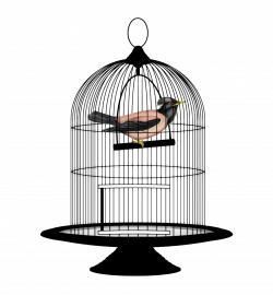 Bird Cage PNG Image - PurePNG | Free transparent CC0 PNG Image Library