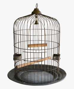 Favorite Clip Art - Vintage Bird Cage Png #1061756 - Free ...