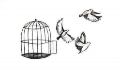 i love pics of birds flying out of cages..freedom | my style ...