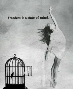 OP: @b112714 freedom state mirror cage bird gir...