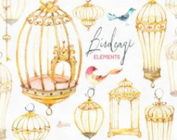 Bird cage Clipart, Watercolor Nightingale Illustration, Golden Roses ...